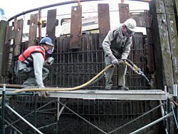 TERMINAL DOLPHIN REPAIR